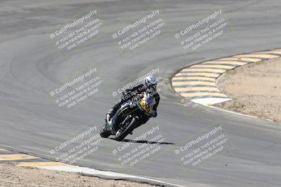 media/Apr-20-2025-CVMA (Sun) [[39090e8767]]/Race 11-500-350 Supersport (Holeshot)/